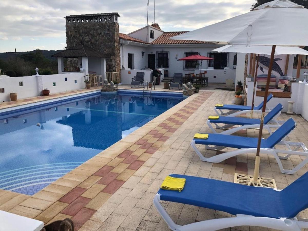 Lemon Tree Villa 몬세라트 외부 사진