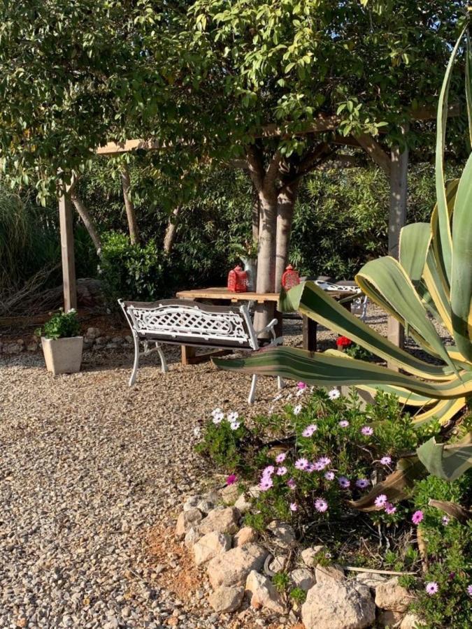 Lemon Tree Villa 몬세라트 외부 사진